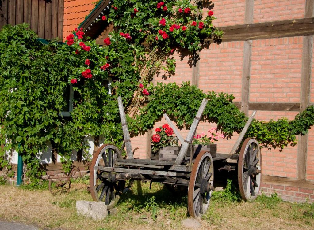 Romantischer Seegasthof & Hotel Altes Zollhaus photo 1