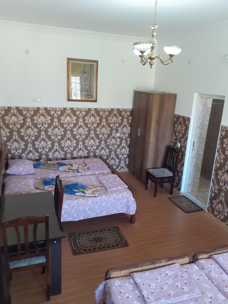 Guest House Fazisi - Tap to explore photos
