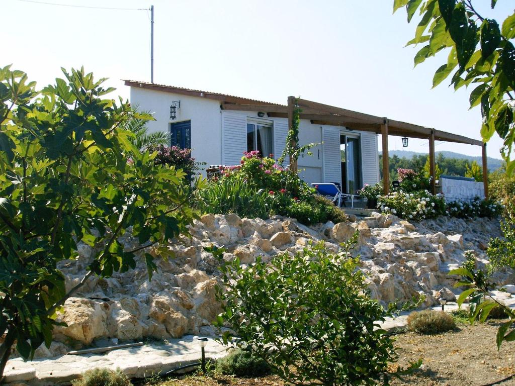O Ioannis photo 3