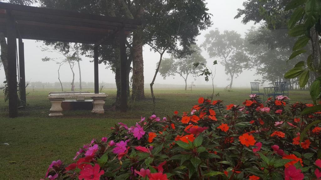 Bosque Da Neblina photo 1