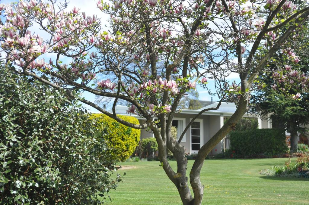 Alexandra Garden Court Motel photo 2