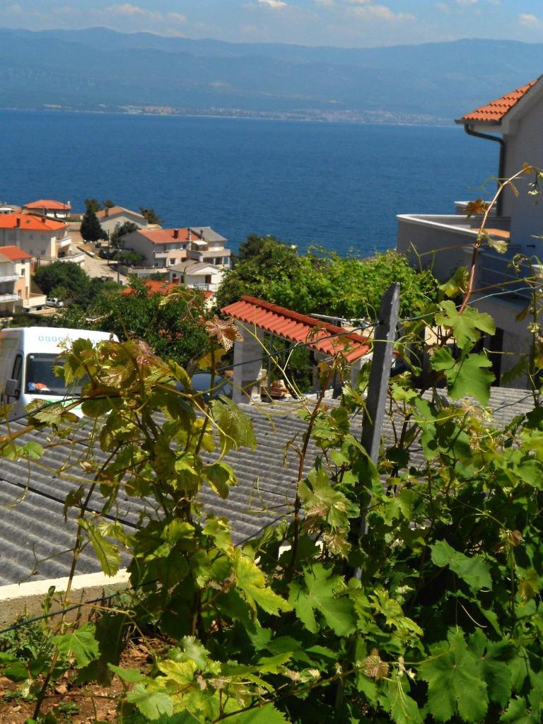 Apartment Andrija photo 3