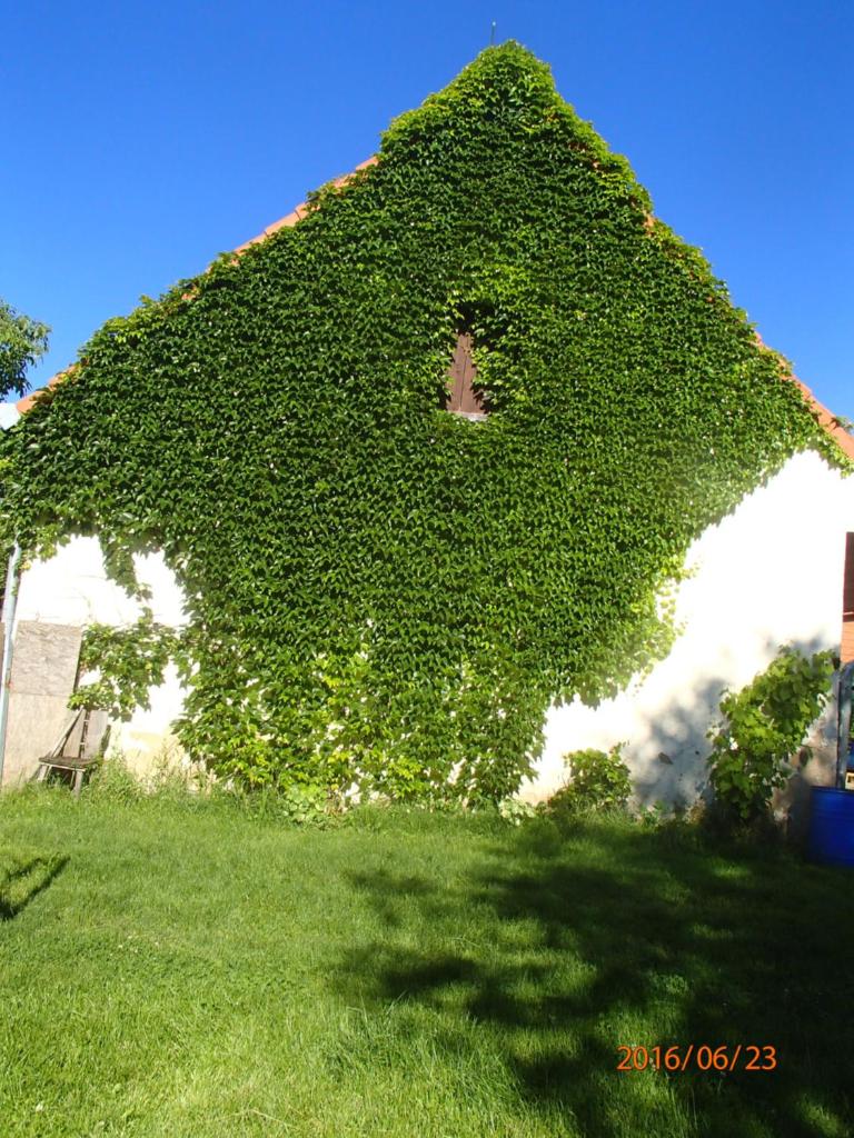Farma Zahradnice photo 4