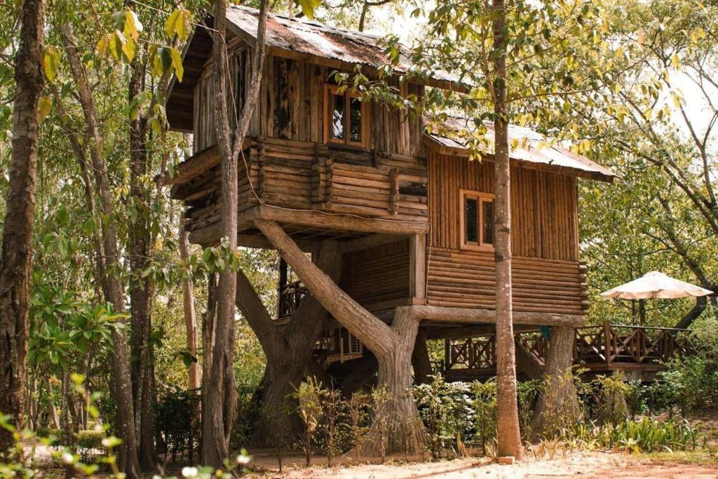 Kirirom Hillside Resort Room Type - Tree House