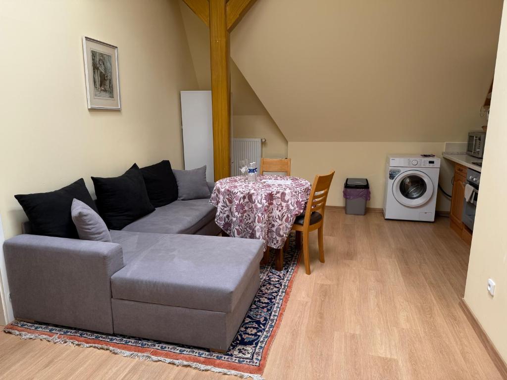 Salve Teplice Room Type - One-Bedroom Apartment