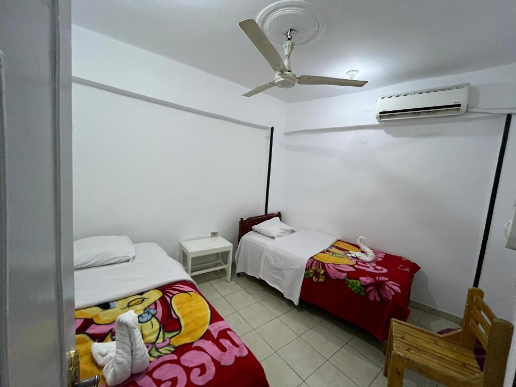 SWEET HOSTEL LUXOR Room Type - Double Room with Shared Bathroom