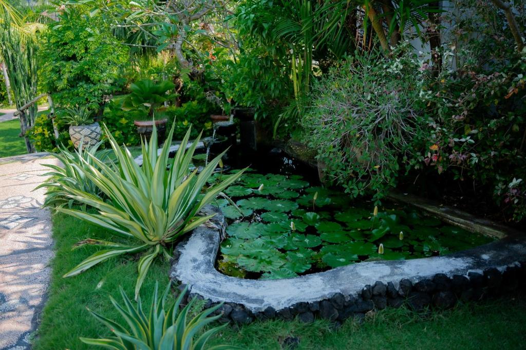 The BBQ Guest House photo 4