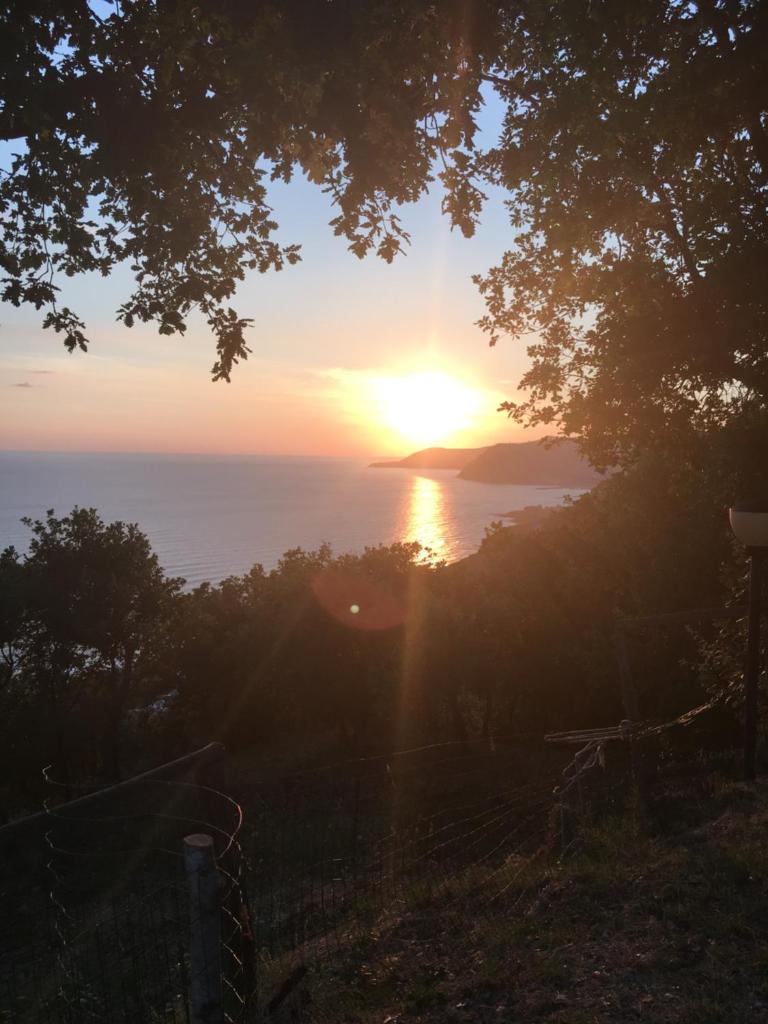 Il Poggio del Mare photo 1
