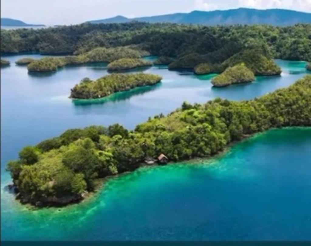 "Shady Sea Raja Ampat" photo 4