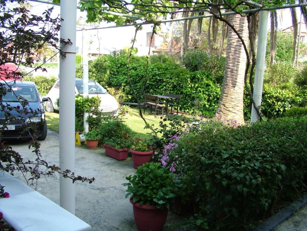 Spiridoula apartments photo 3