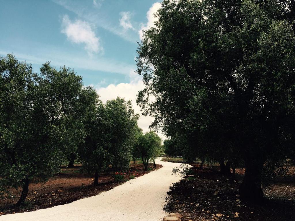 Fikus - the Apulian B&B photo 1