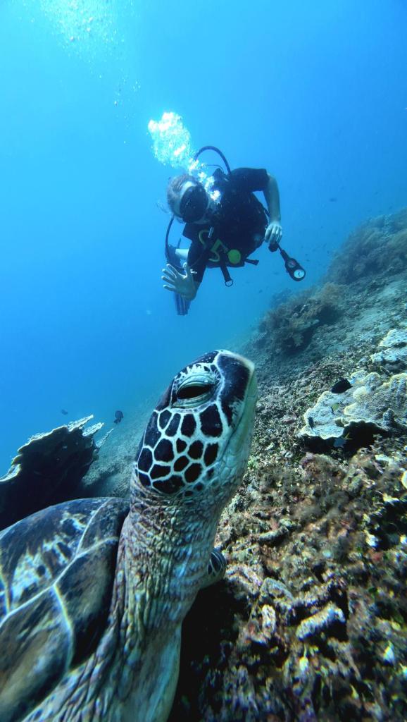 Kura Kura Divers Lodge photo 1