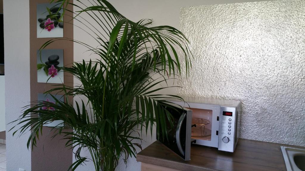 Ferienwohnung Schusi Freital photo 4