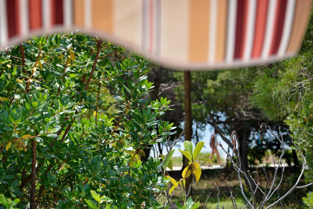 Apartman Kister photo 2
