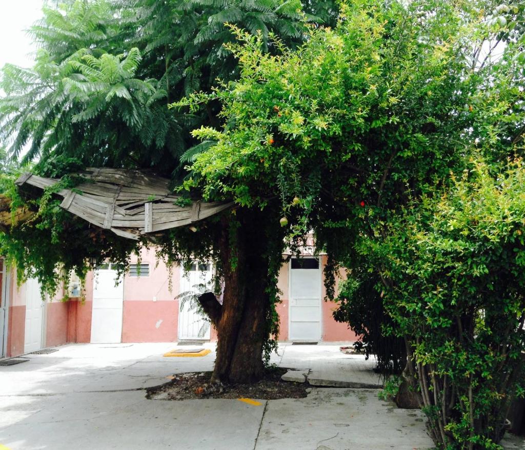 Hotel Colibri Queretaro photo 3