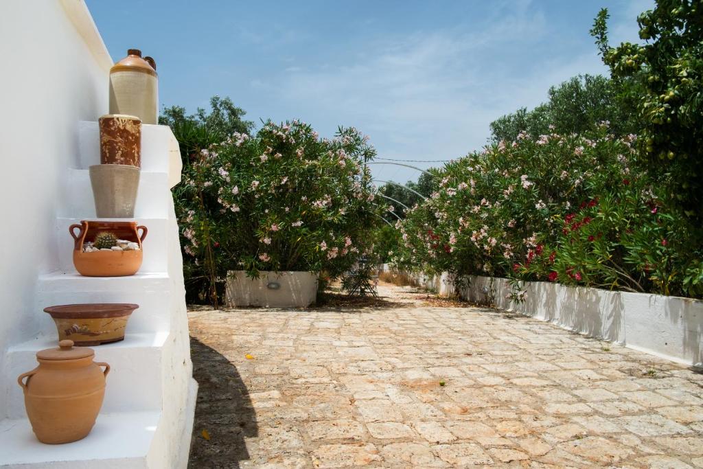Fikus - the Apulian B&B photo 3