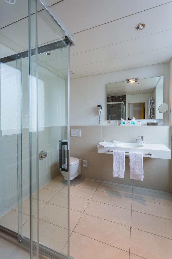 Двухместный (Двухместный номер эконом-класса с 1 кроватью), Euler Hotel Basel