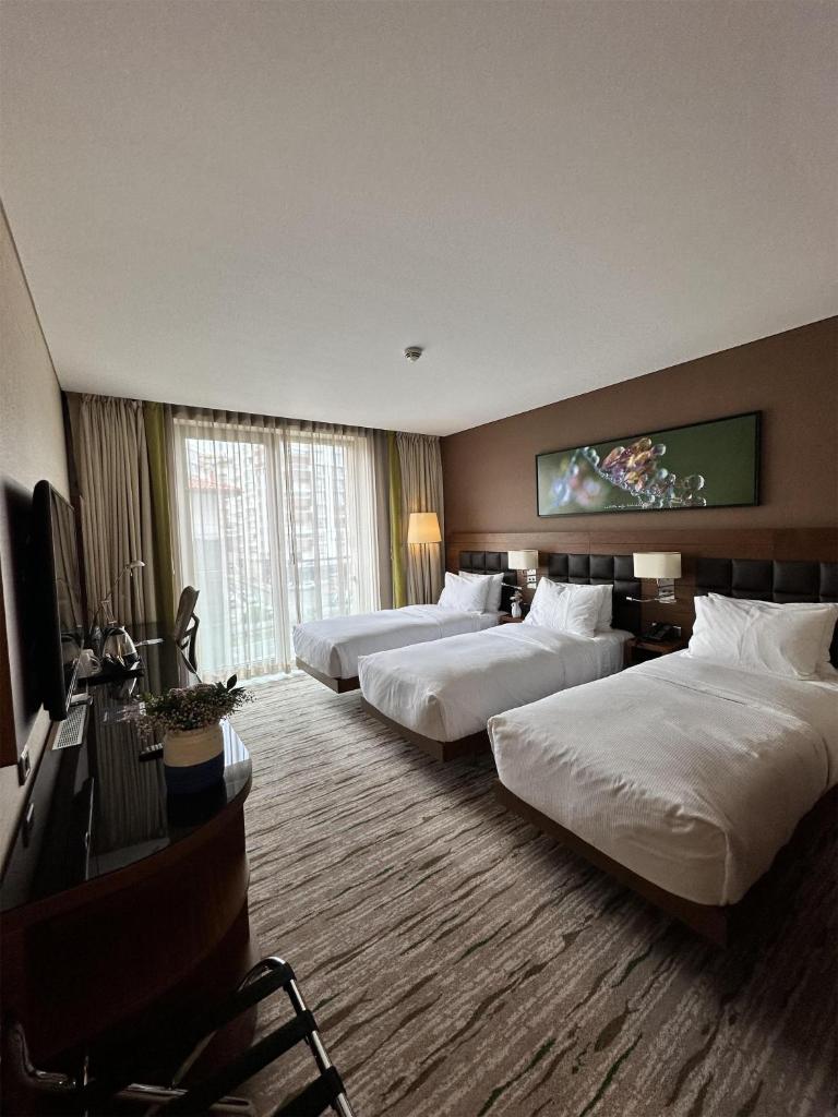 DoubleTree by Hilton Trabzon Room Type - Triple Room with City View