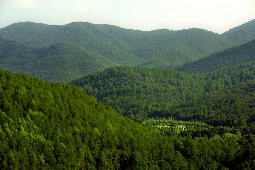 Camping Bassegoda Park photo 2