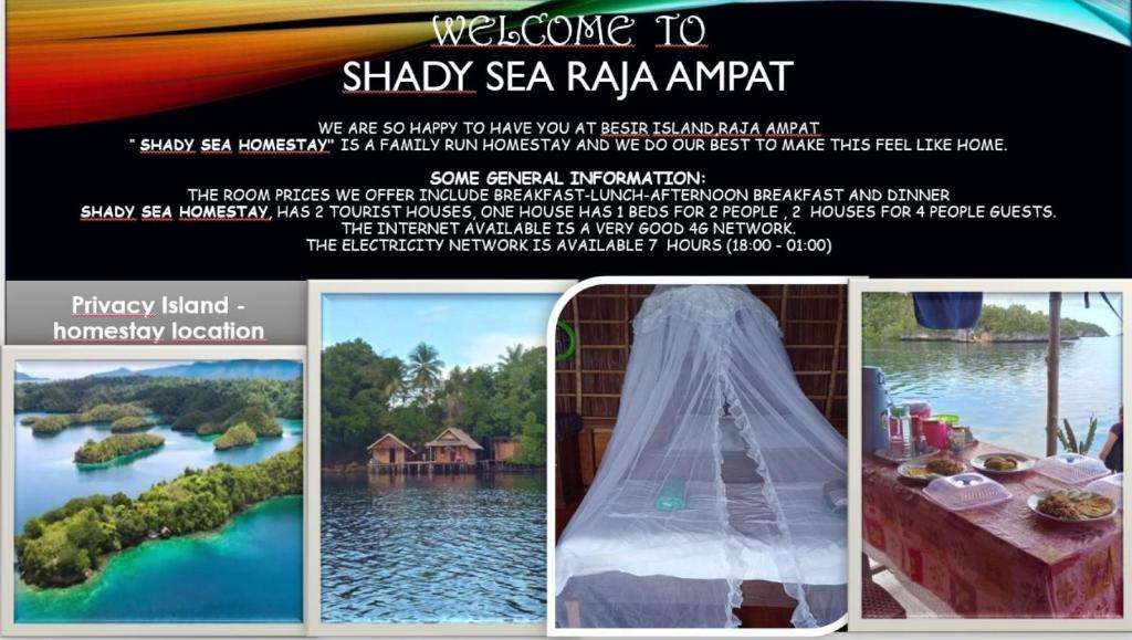 "Shady Sea Raja Ampat" photo 2