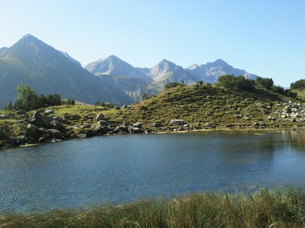 Alp-Chalet photo 3