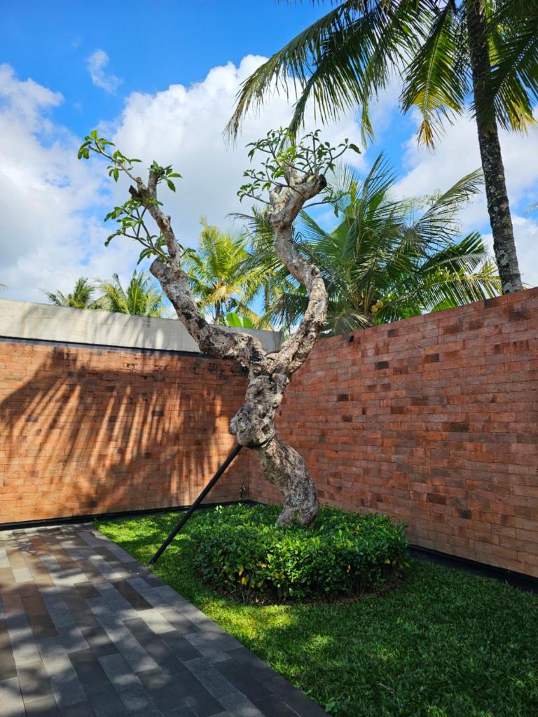 Teduh Teduh Villa Pakem photo 1