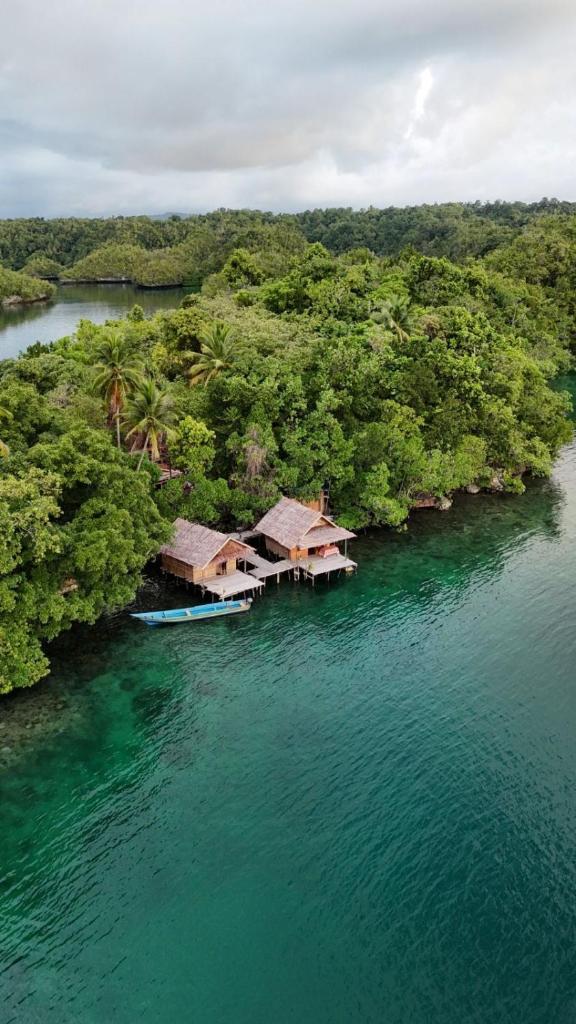 "Shady Sea Raja Ampat"