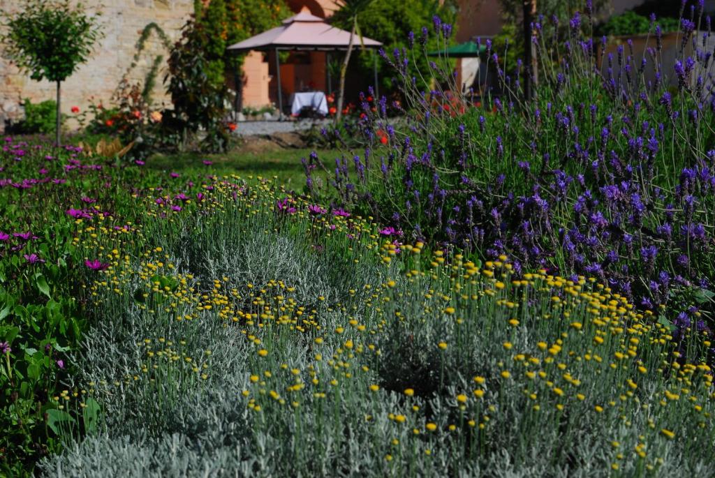 Agriturismo Coppi Rossi photo 2