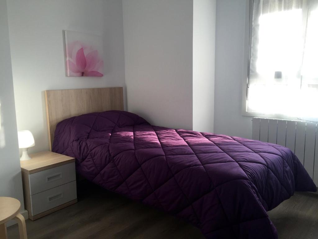 Apartamentos Jurramendi - Los Arcos photo 2