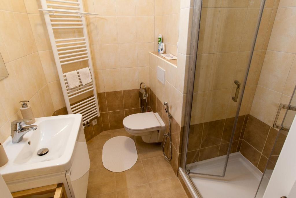 Апартаменты (Стандартные апартаменты с 1 спальней), Апартаменты Karlova 25