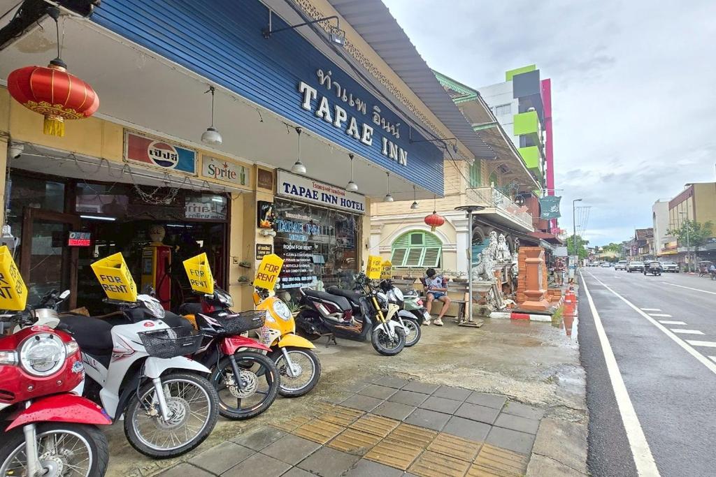 Tapae Inn, Chiang Mai