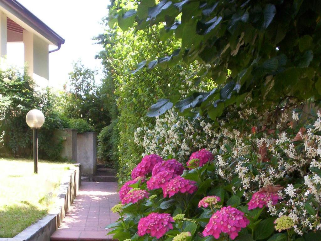 Residenza Alice - Toscana mare e monti photo 1