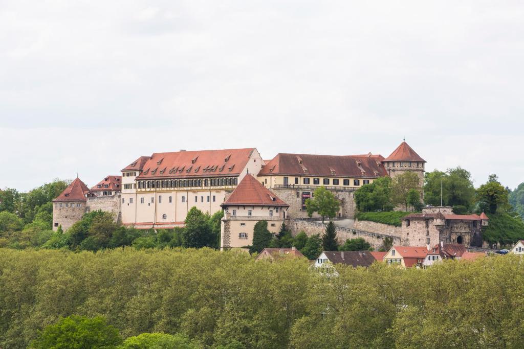 ibis Styles Tuebingen photo 3