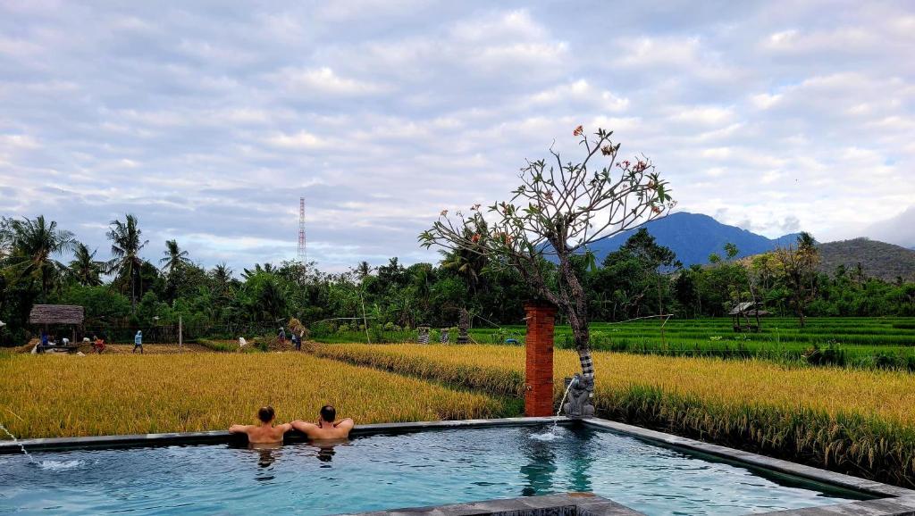 Umma Bali Menjangan Retreat photo 1