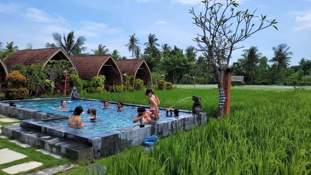 Umma Bali Menjangan Retreat
