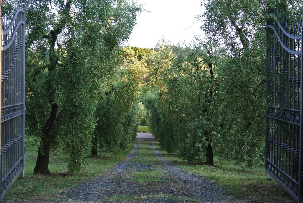 Campo del Rosario photo 2