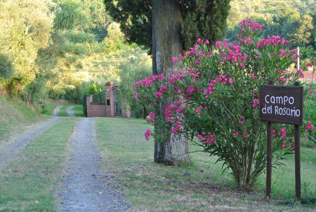 Campo del Rosario photo 1