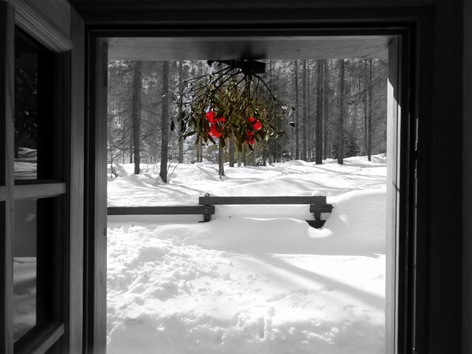 B&B Le Temps d'une Pause photo 4