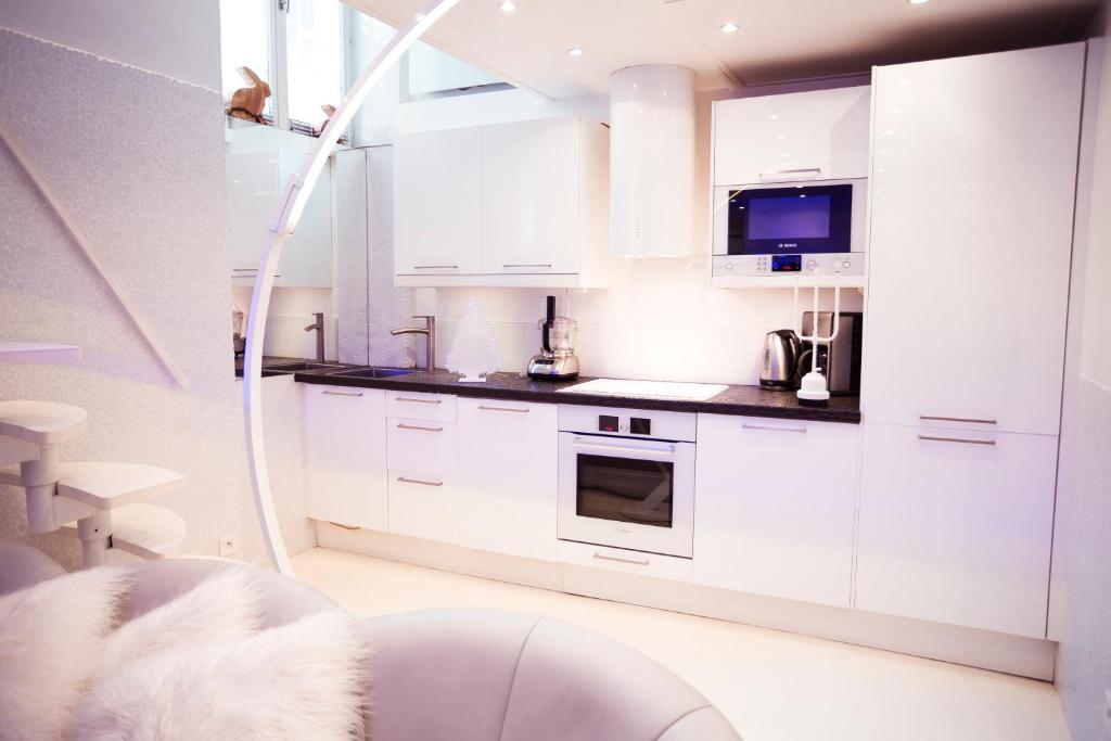 Stylish,luxury duplex Paris city center photo 3