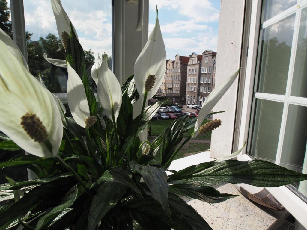 Апартаменты (Апартаменты-студио - ul. Złotników 9), Grand-Tourist Trident Apartments