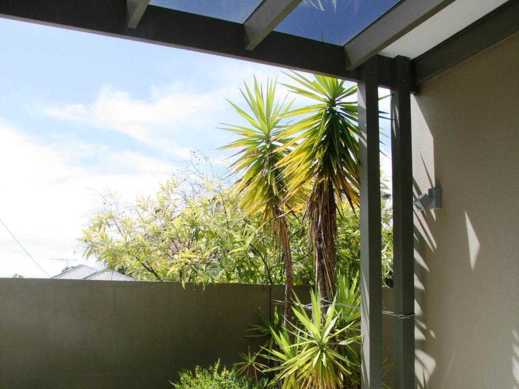 Chaucer Palms Boutique B&B - Tap to explore photos
