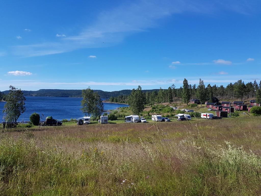 Måvikens Camping photo 3