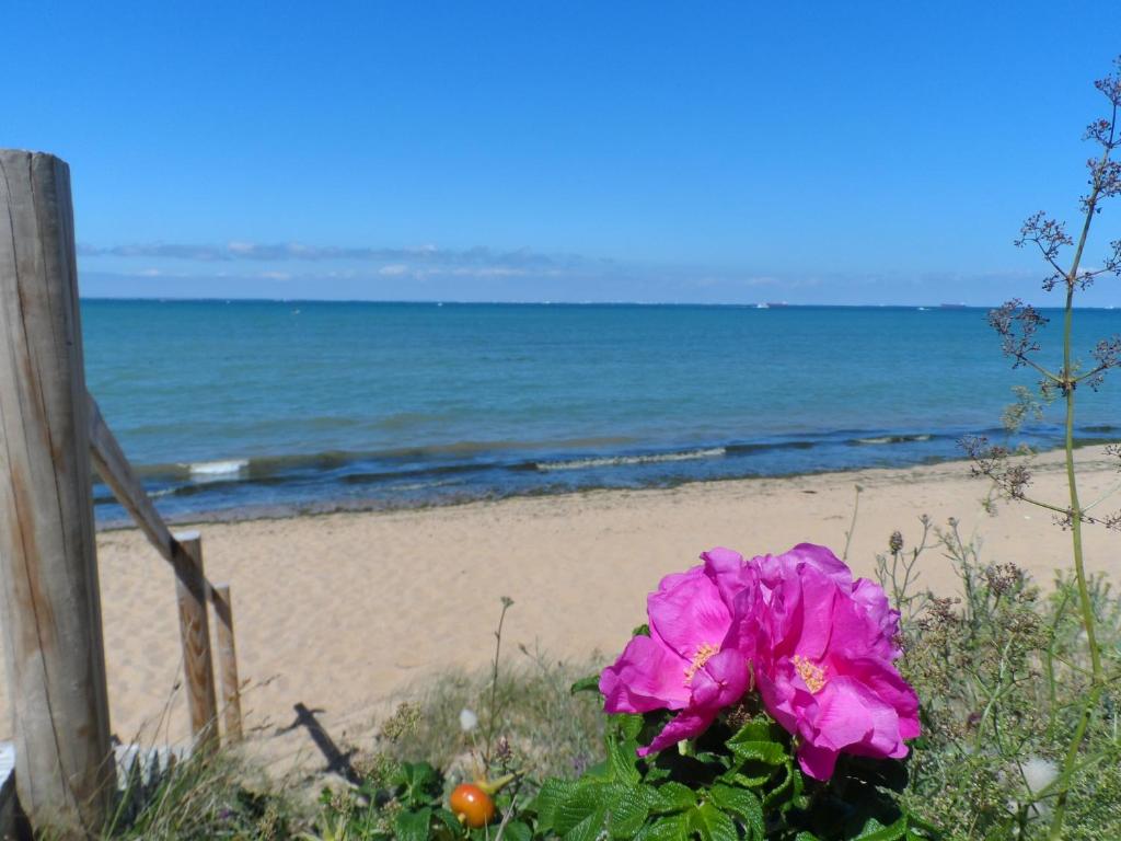 Camping Cap Soleil photo 2