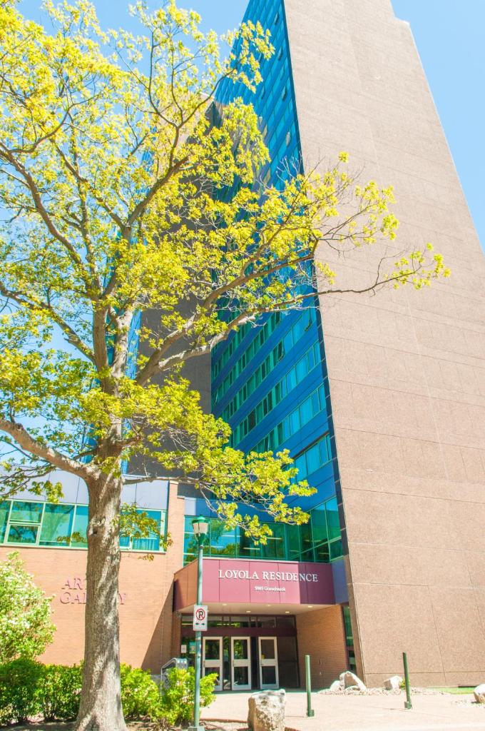 Saint Mary's University Conference Services & Summer Accommodations photo 4