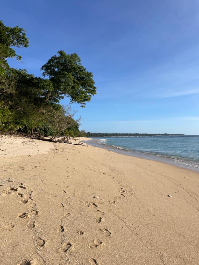 Red island villas photo 4
