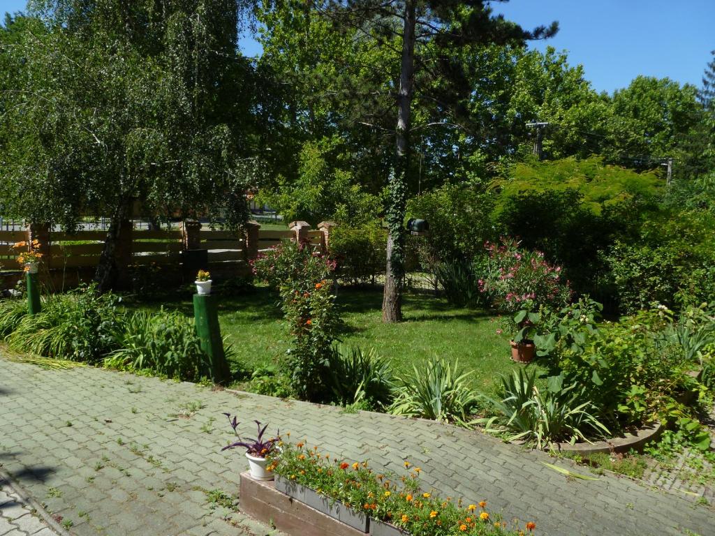 Liget Szálláshely photo 4