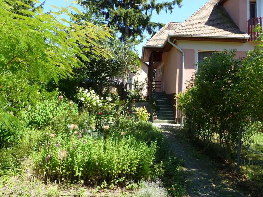 Liget Szálláshely photo 2