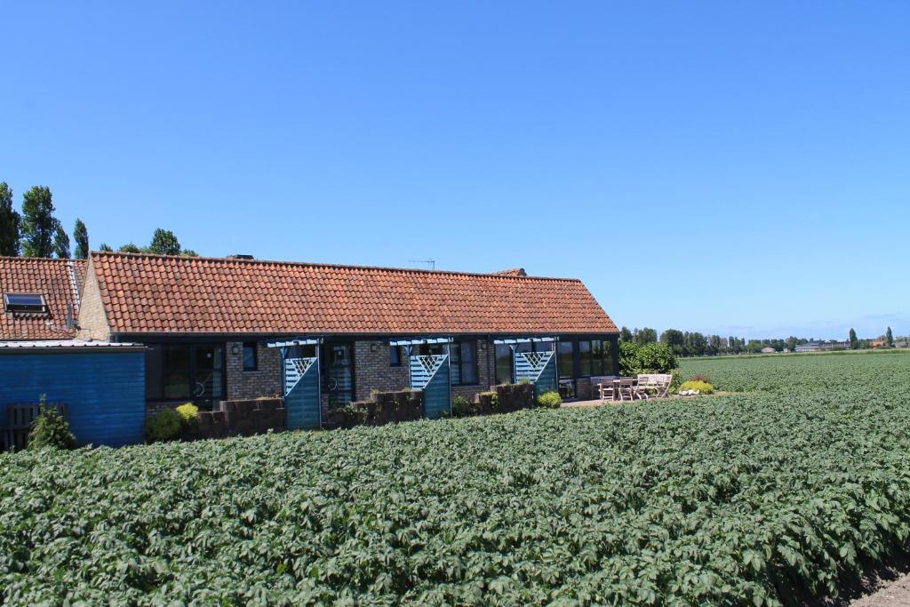 Ateljee Devlaux photo 3