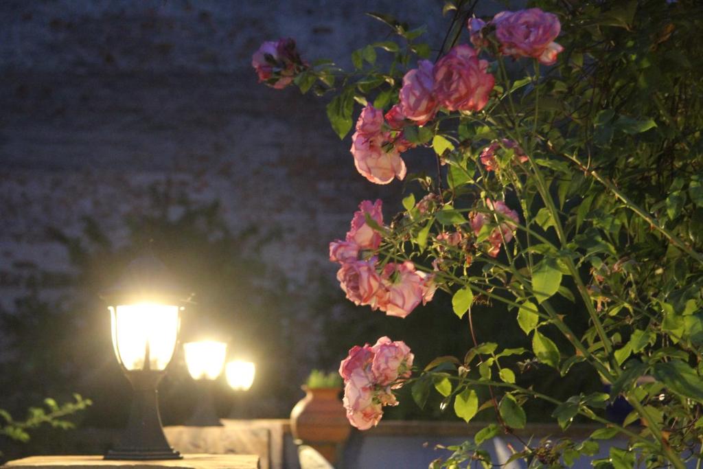 No.31 B&B im Rosengarten photo 3