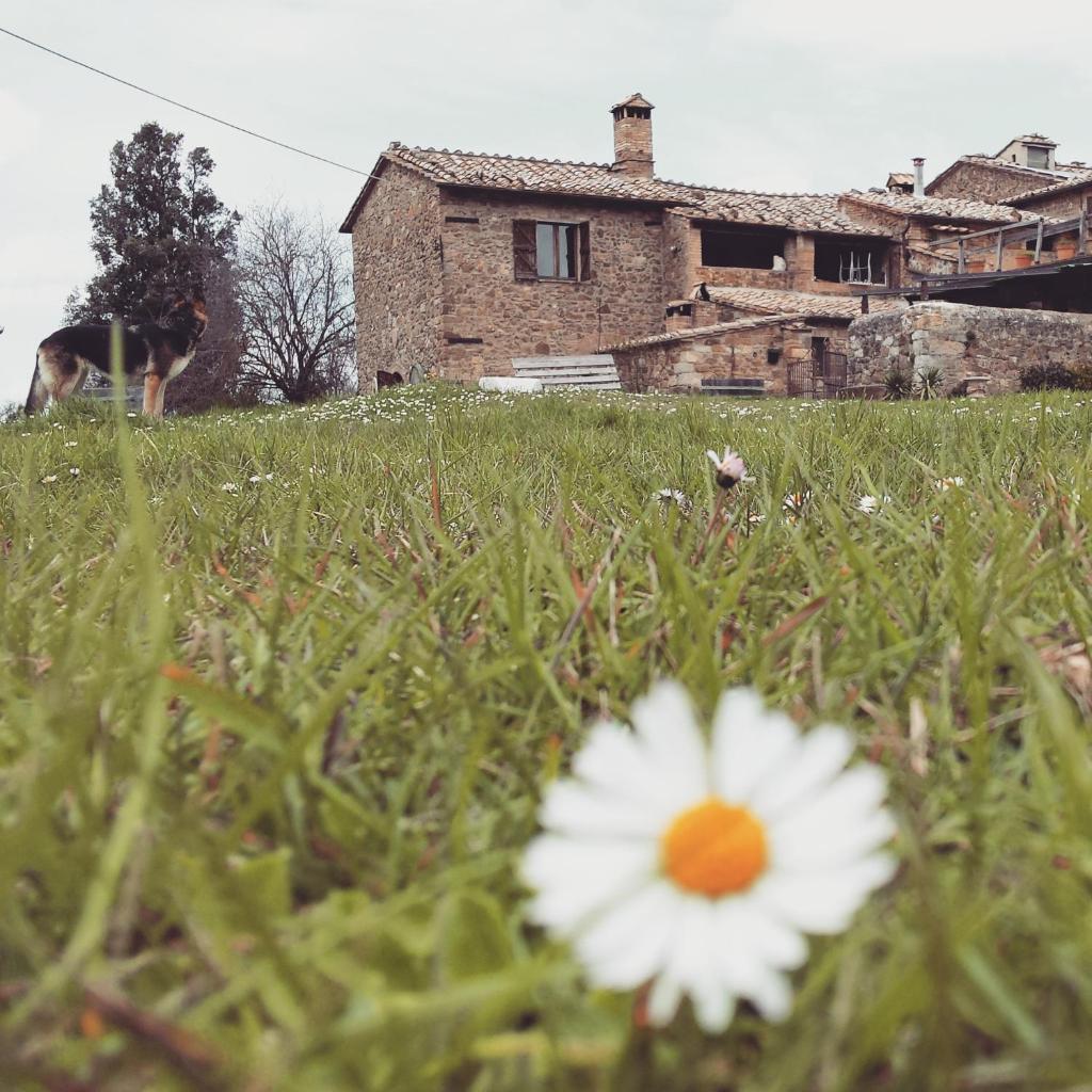 Agriturismo Il Cocco photo 1